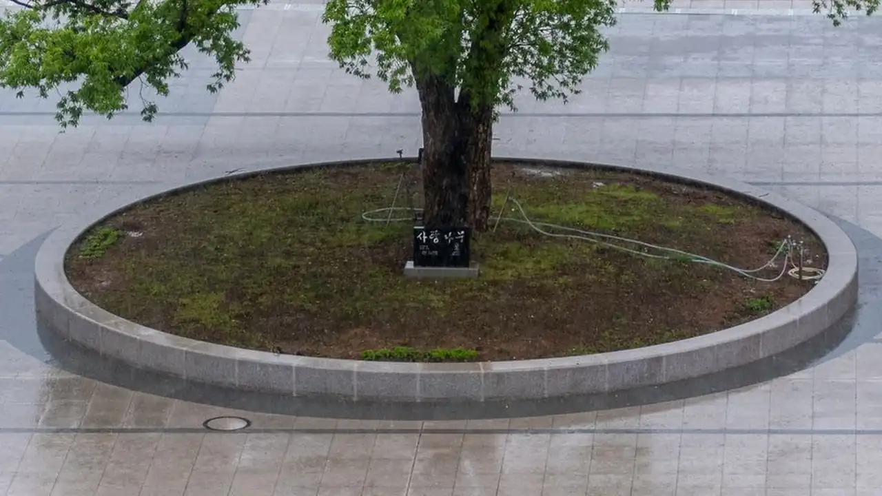 向日葵视频下载色板IOS网站进入IOS下载官网
